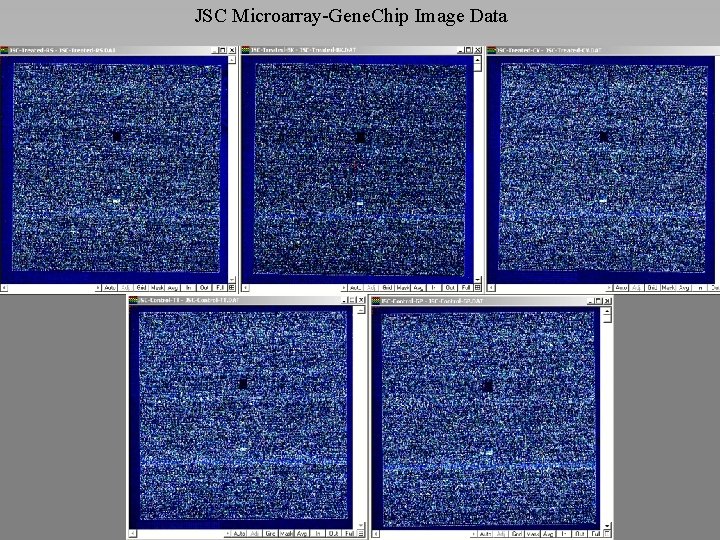 JSC Microarray-Gene. Chip Image Data 