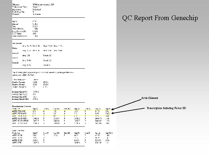 QC Report From Genechip Actin filament Transcription Initiating Factor IID 