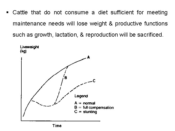 § Cattle that do not consume a diet sufficient for meeting maintenance needs will