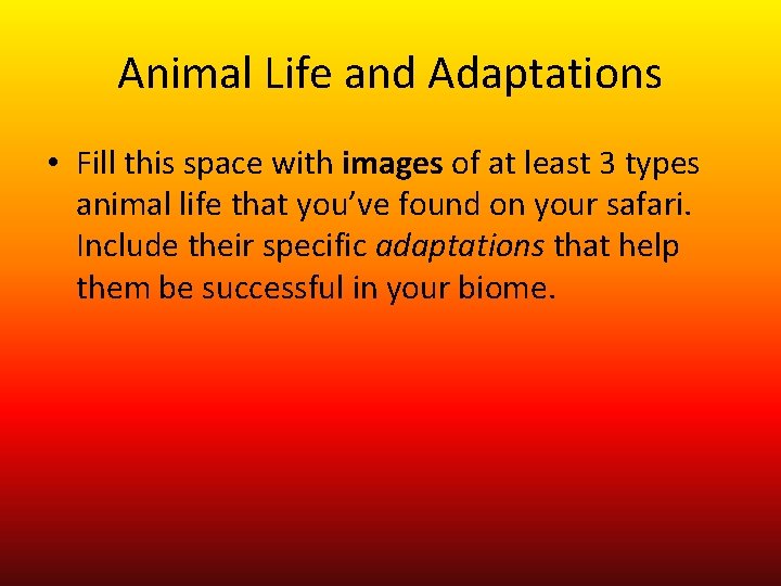 Animal Life and Adaptations • Fill this space with images of at least 3