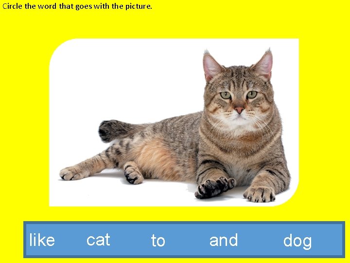 Circle the word that goes with the picture. like cat to and dog 