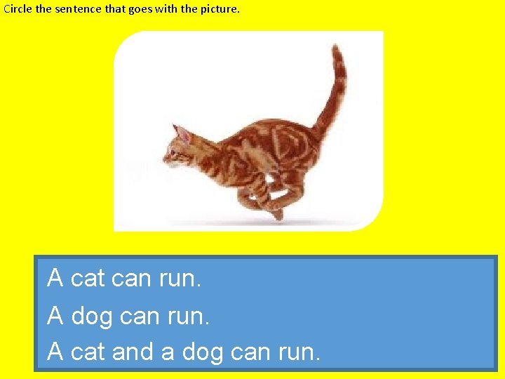 Circle the sentence that goes with the picture. A cat can run. A dog