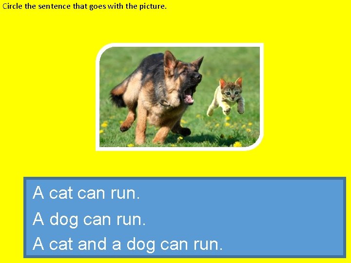 Circle the sentence that goes with the picture. A cat can run. A dog