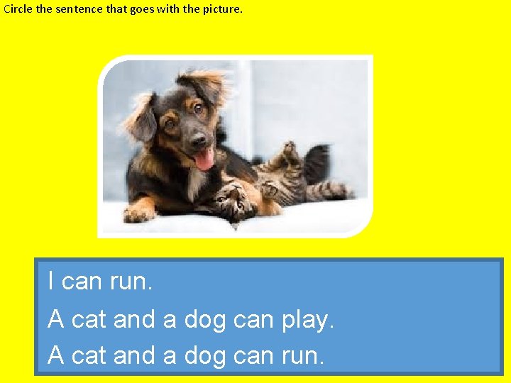 Circle the sentence that goes with the picture. I can run. A cat and