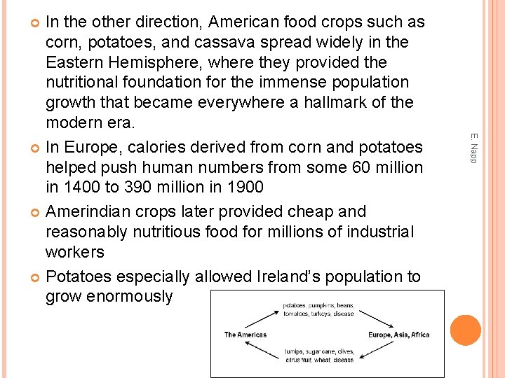 In the other direction, American food crops such as corn, potatoes, and cassava spread