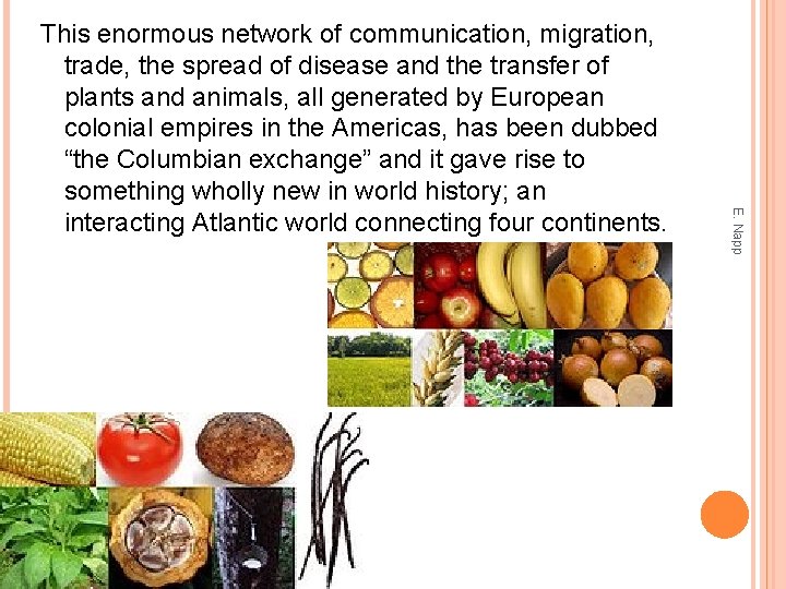 E. Napp This enormous network of communication, migration, trade, the spread of disease and