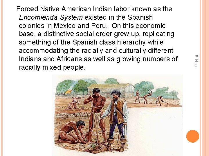 E. Napp Forced Native American Indian labor known as the Encomienda System existed in