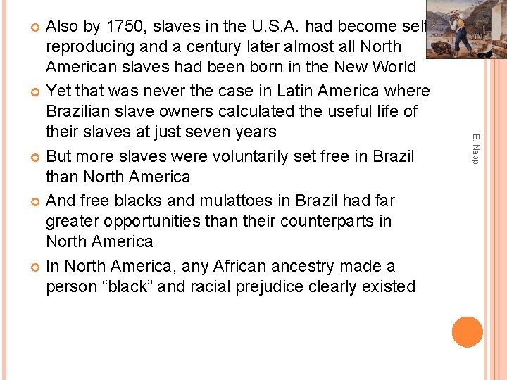 Also by 1750, slaves in the U. S. A. had become selfreproducing and a