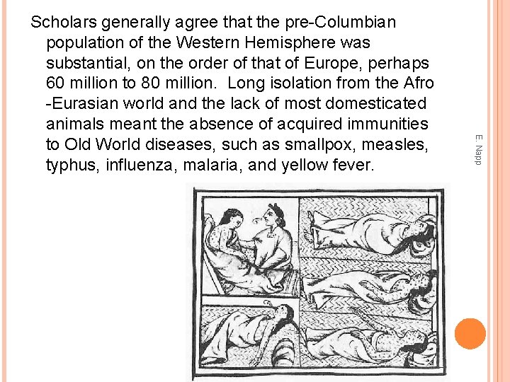 E. Napp Scholars generally agree that the pre-Columbian population of the Western Hemisphere was