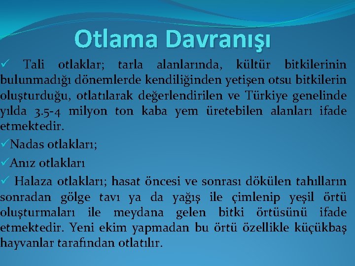 Otlama Davranışı ü Tali otlaklar; tarla alanlarında, kültür bitkilerinin bulunmadığı dönemlerde kendiliğinden yetişen otsu