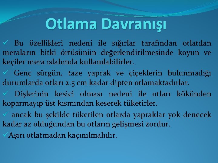 Otlama Davranışı ü Bu özellikleri nedeni ile sığırlar tarafından otlatılan meraların bitki örtüsünün değerlendirilmesinde