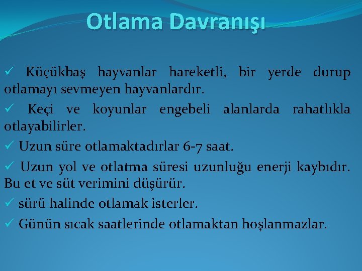 Otlama Davranışı ü Küçükbaş hayvanlar hareketli, bir yerde durup otlamayı sevmeyen hayvanlardır. ü Keçi