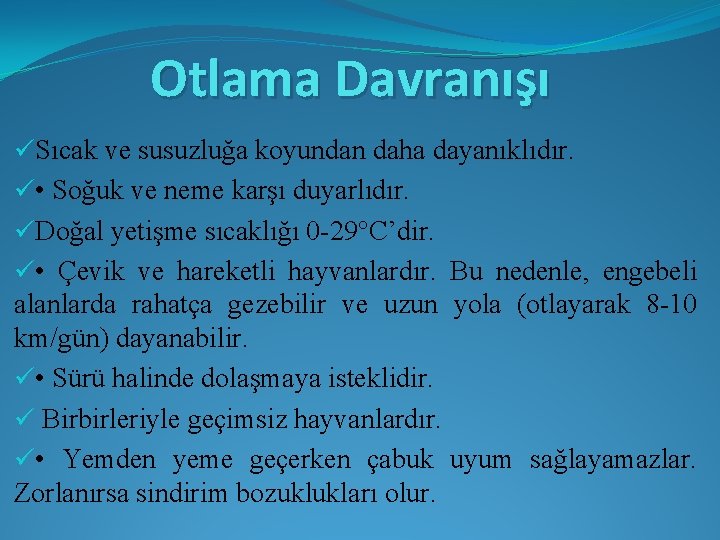 Otlama Davranışı üSıcak ve susuzluğa koyundan daha dayanıklıdır. ü • Soğuk ve neme karşı