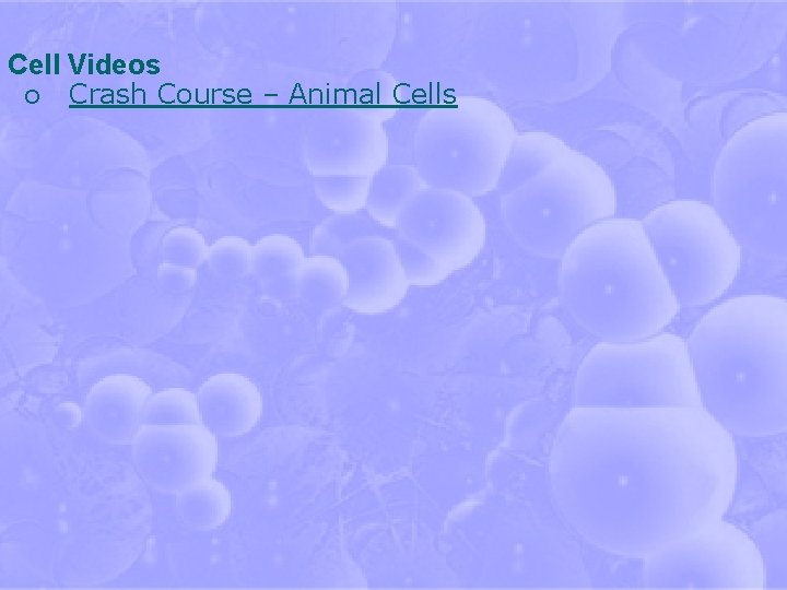 Cell Videos ¡ Crash Course – Animal Cells 