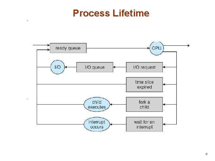 Process Lifetime 8 