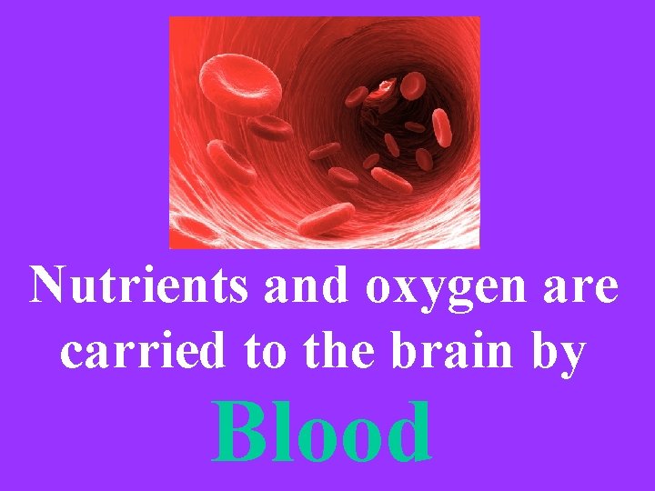 Nutrients and oxygen are carried to the brain by Blood 