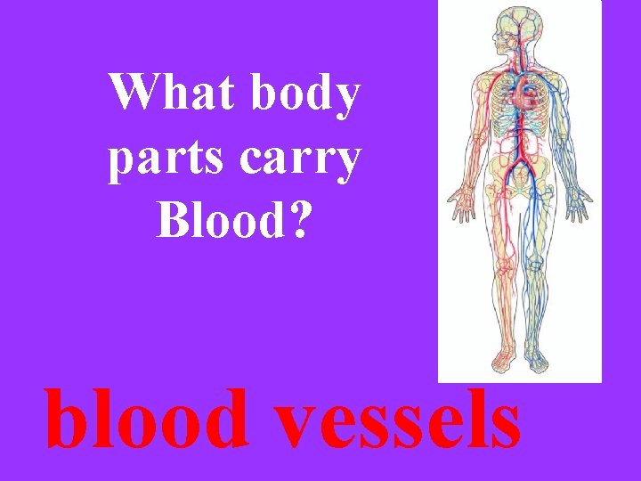 What body parts carry Blood? blood vessels 