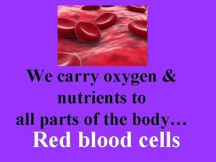 We carry oxygen & nutrients to all parts of the body… Red blood cells