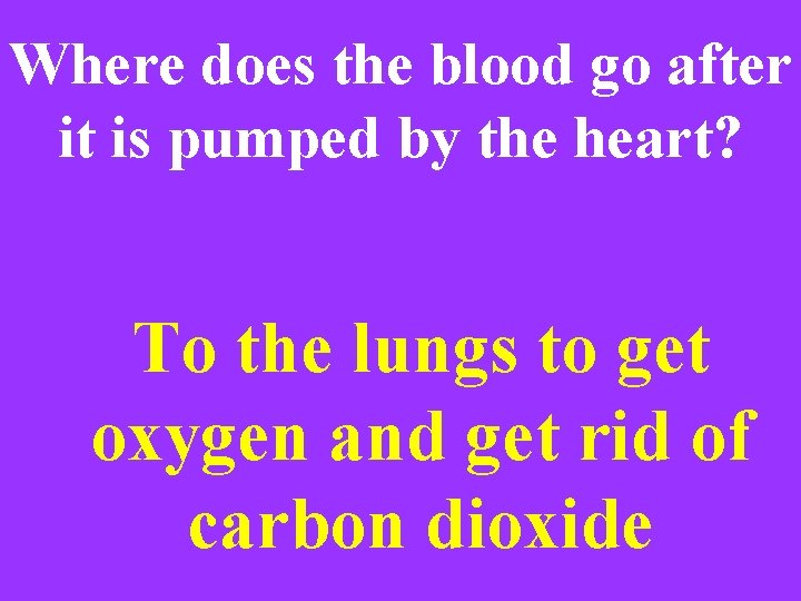 Where does the blood go after it is pumped by the heart? To the