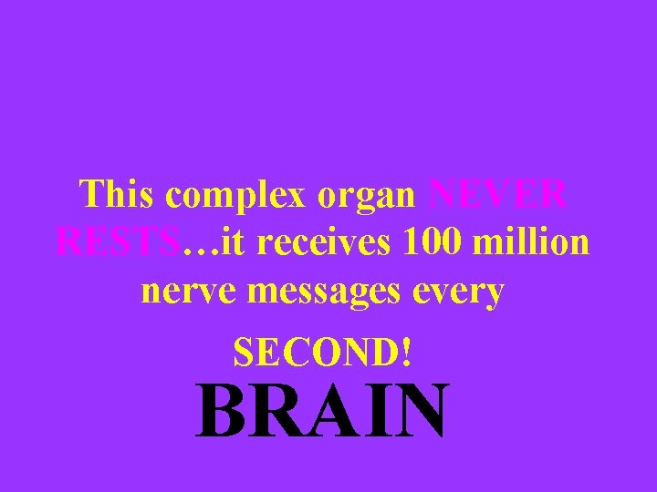 This complex organ NEVER RESTS…it receives 100 million nerve messages every SECOND! BRAIN 