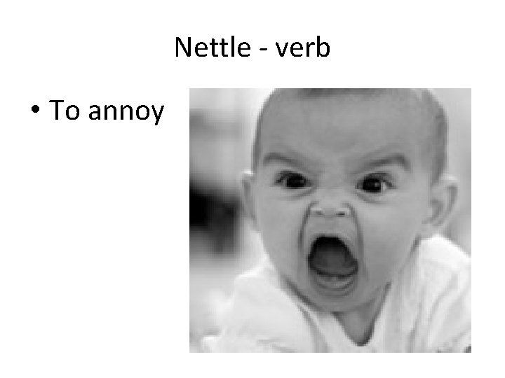 Nettle - verb • To annoy 