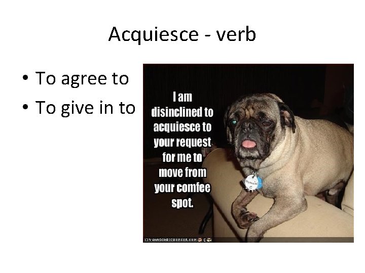 Acquiesce - verb • To agree to • To give in to 