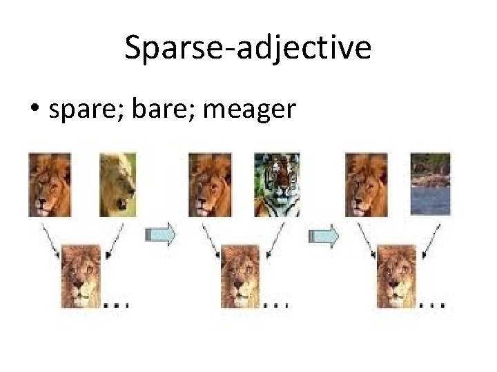 Sparse-adjective • spare; bare; meager 