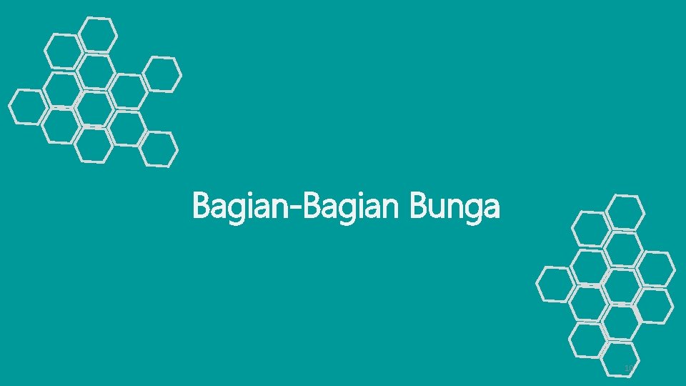 Bagian-Bagian Bunga 10 