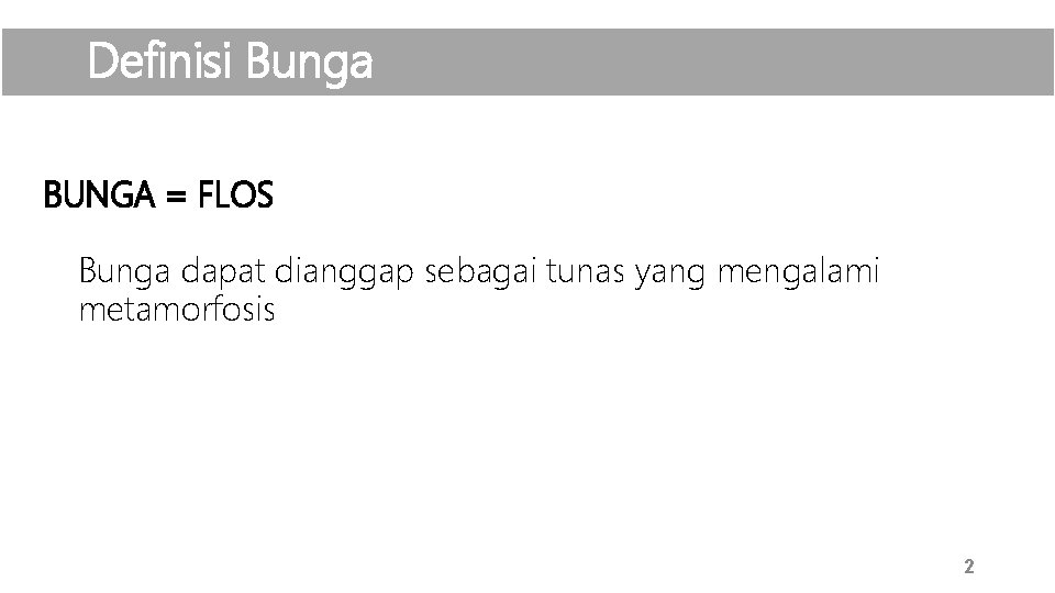 Definisi Bunga BUNGA = FLOS Bunga dapat dianggap sebagai tunas yang mengalami metamorfosis 2