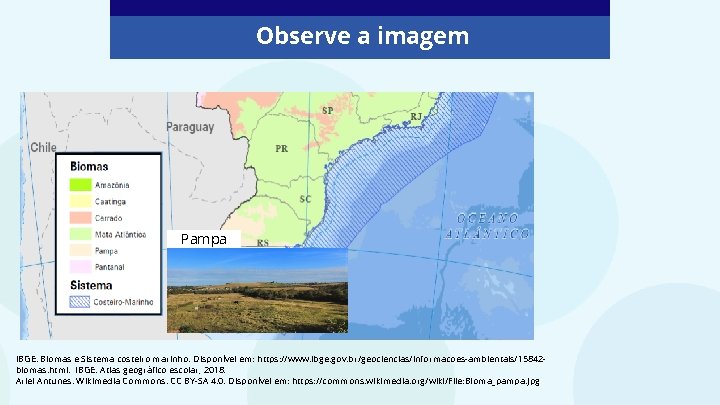 Observe a imagem Pampa IBGE. Biomas e Sistema costeiro marinho. Disponível em: https: //www.