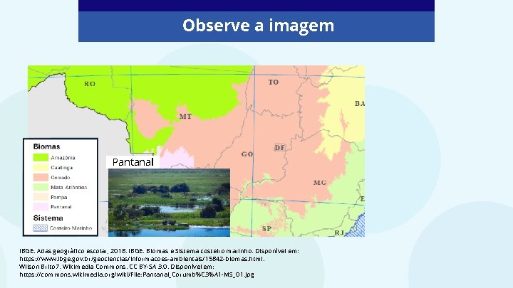 Observe a imagem Pantanal IBGE. Atlas geográfico escolar, 2018. IBGE. Biomas e Sistema costeiro