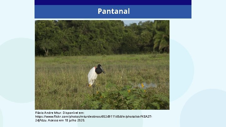 Pantanal Flávio Andre Mtur. Disponível em: https: //www. flickr. com/photos/mturdestinos/40249111454/in/photolist-FK 8 A 3 T