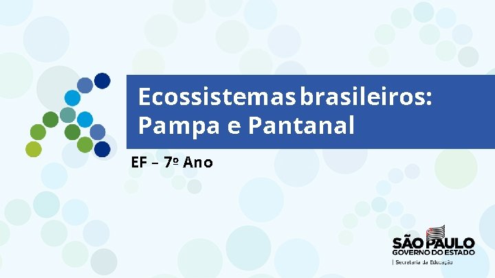 Ecossistemas brasileiros: Pampa e Pantanal EF – 7º Ano 