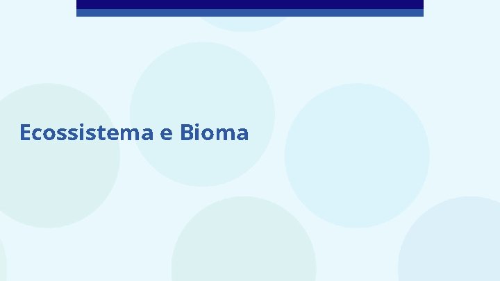 Ecossistema e Bioma 