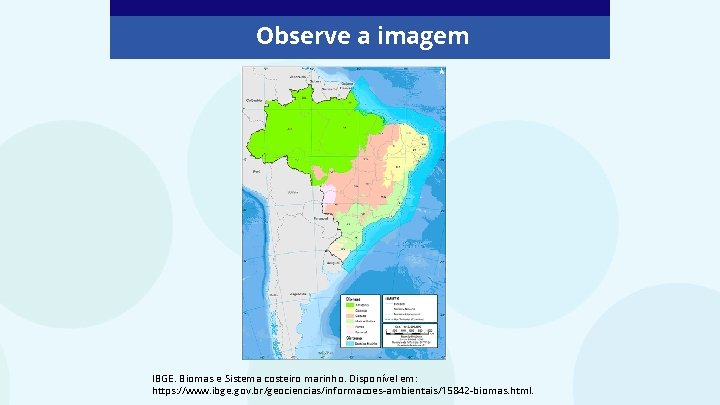 Observe a imagem IBGE. Biomas e Sistema costeiro marinho. Disponível em: https: //www. ibge.