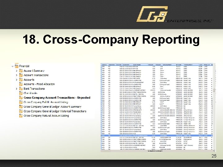 18. Cross-Company Reporting 25 