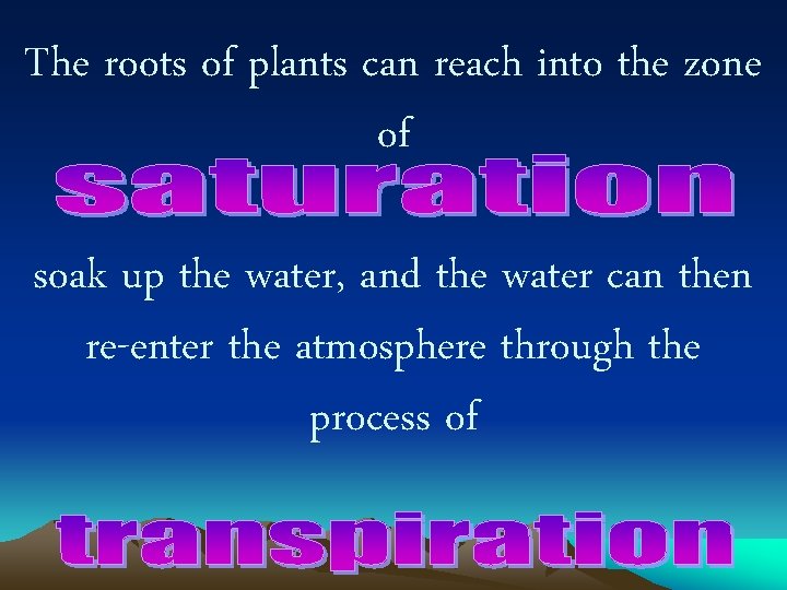 The roots of plants can reach into the zone of soak up the water,