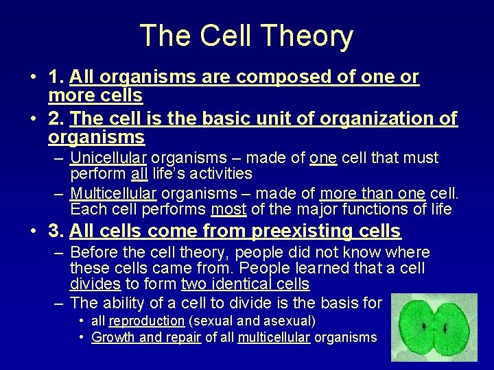 The Cell Theory • 1. All organisms are composed of one or more cells