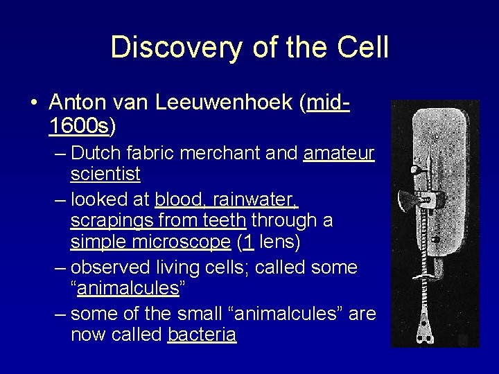 Discovery of the Cell • Anton van Leeuwenhoek (mid 1600 s) – Dutch fabric