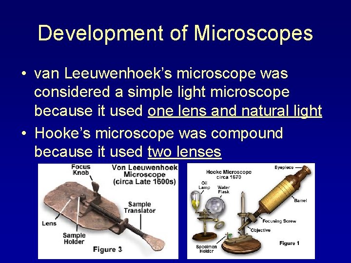 Development of Microscopes • van Leeuwenhoek’s microscope was considered a simple light microscope because