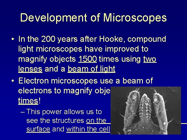 Development of Microscopes • In the 200 years after Hooke, compound light microscopes have