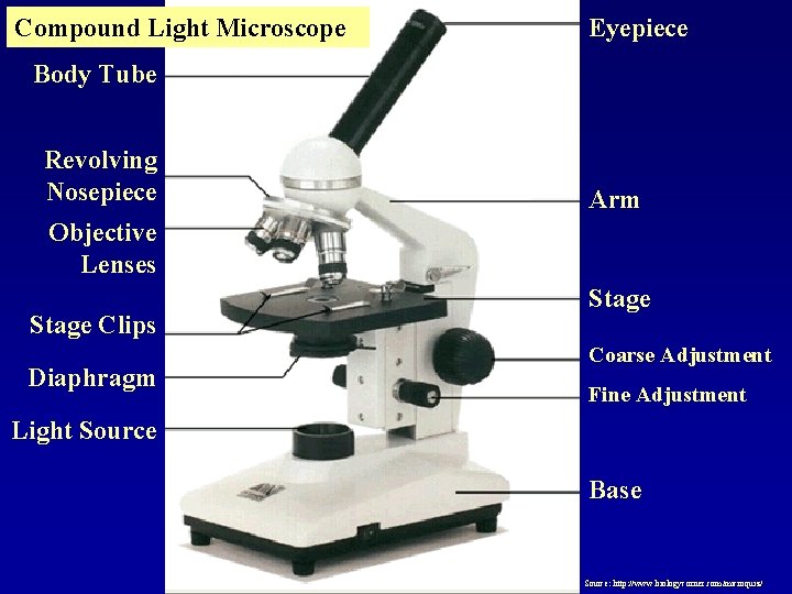 Compound Light Microscope Eyepiece Body Tube Revolving Nosepiece Arm Objective Lenses Stage Clips Diaphragm