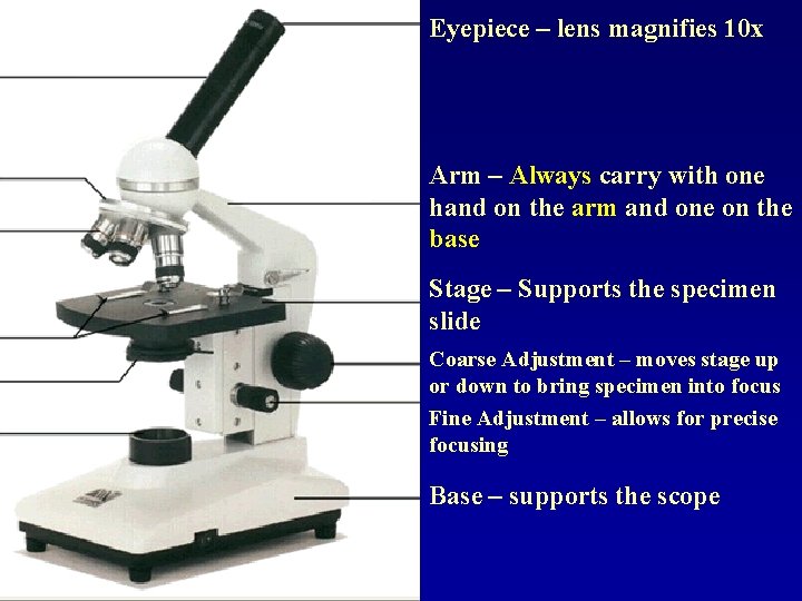 Eyepiece – lens magnifies 10 x Arm – Always carry with one hand on