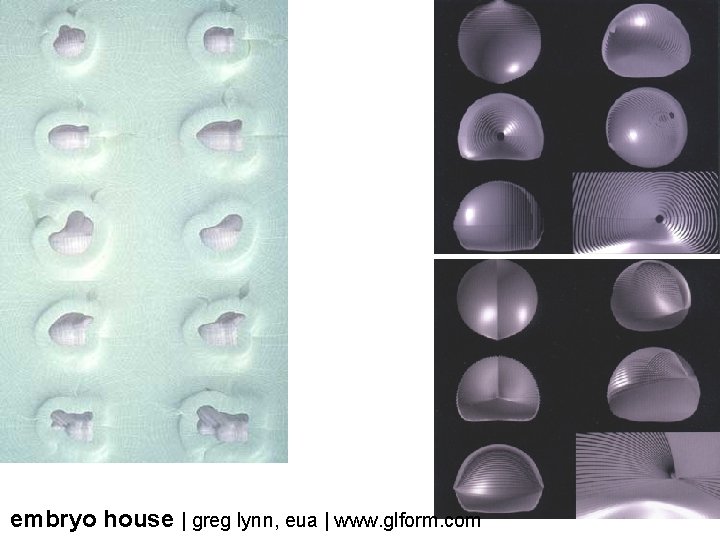 embryo house | greg lynn, eua | www. glform. com 