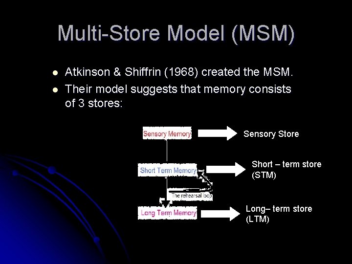 Multi-Store Model (MSM) l l Atkinson & Shiffrin (1968) created the MSM. Their model Multi-Store Model (MSM) l l Atkinson & Shiffrin (1968) created the MSM. Their model