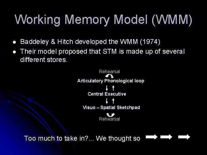 Working Memory Model (WMM) l l Baddeley & Hitch developed the WMM (1974) Their Working Memory Model (WMM) l l Baddeley & Hitch developed the WMM (1974) Their