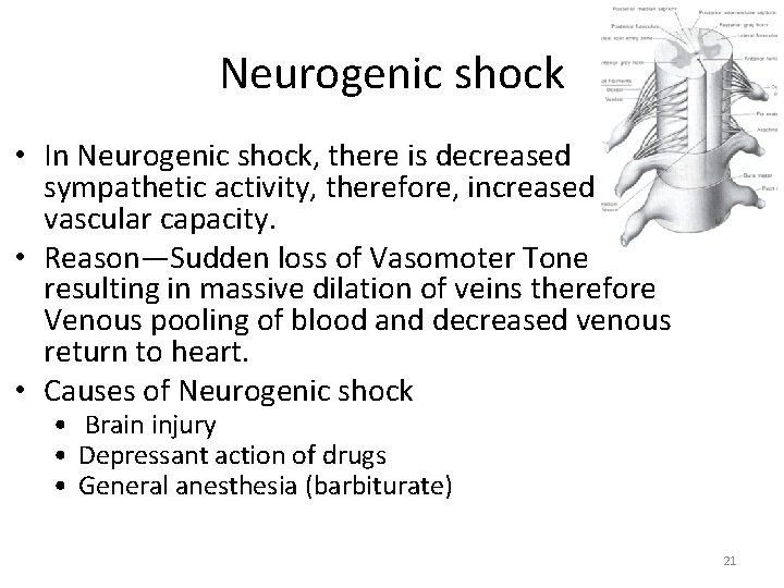 Neurogenic shock • In Neurogenic shock, there is decreased sympathetic activity, therefore, increased vascular