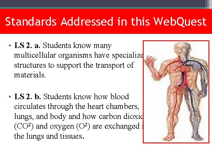 Standards Addressed in this Web. Quest • LS 2. a. Students know many multicellular