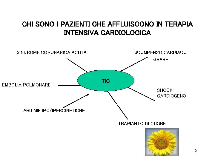 CHI SONO I PAZIENTI CHE AFFLUISCONO IN TERAPIA INTENSIVA CARDIOLOGICA SINDROME CORONARICA ACUTA EMBOLIA