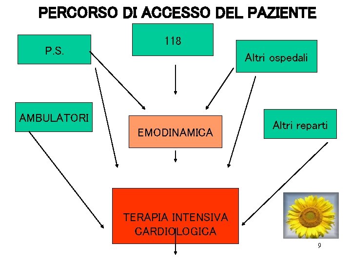 PERCORSO DI ACCESSO DEL PAZIENTE P. S. 118 Altri ospedali AMBULATORI EMODINAMICA Altri reparti